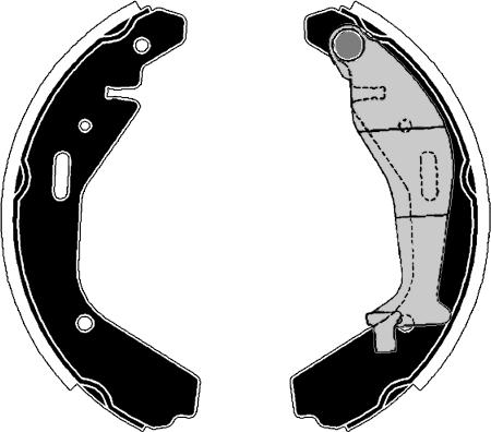 Raicam RA29350 - Комплект спирачна челюст vvparts.bg