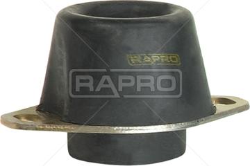 Rapro R59741 - Окачване, двигател vvparts.bg