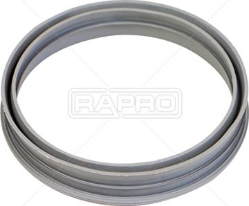 Rapro R54246 - Скоба, въздуховод за двигателя vvparts.bg