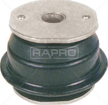 Rapro R55196 - Тампони на моста vvparts.bg