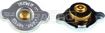 Rapro R66134 - Капачка, резервоар за охладителна течност vvparts.bg