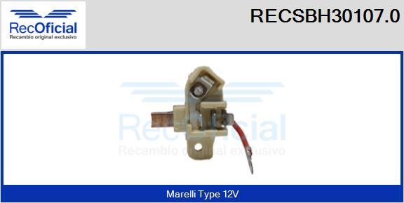 RECOFICIAL RECSBH30107.0 - Държач, карбонови четки vvparts.bg