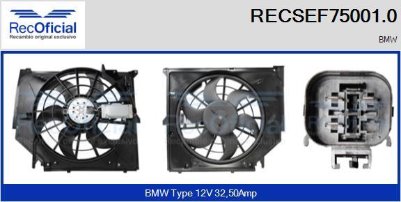 RECOFICIAL RECSEF75001.0 - Електромотор, вентилатор на радиатора vvparts.bg