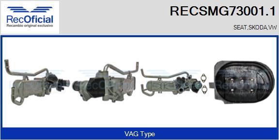 RECOFICIAL RECSMG73001.1 - AGR-модул vvparts.bg