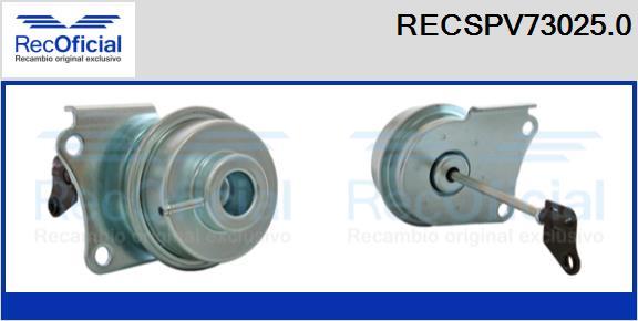 RECOFICIAL RECSPV73025.0 - Регулиращ клапан за налягане на турбината vvparts.bg