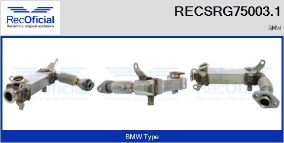 RECOFICIAL RECSRG75003.1 - Охладител, ЕГР система vvparts.bg