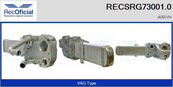 RECOFICIAL RECSRG73001.0 - Охладител, ЕГР система vvparts.bg
