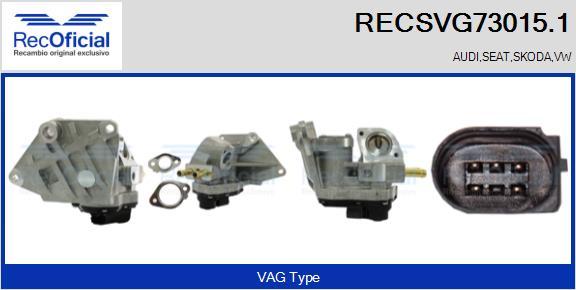 RECOFICIAL RECSVG73015.1 - AGR-Клапан vvparts.bg