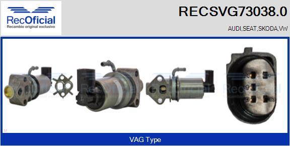 RECOFICIAL RECSVG73038.0 - AGR-Клапан vvparts.bg