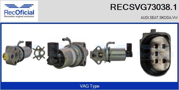 RECOFICIAL RECSVG73038.1 - AGR-Клапан vvparts.bg