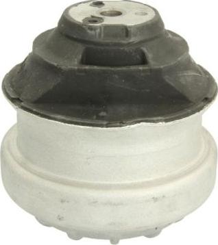 REINHOCH RH11-3006 - Окачване, двигател vvparts.bg