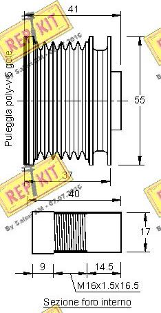 REPKIT RKT3195 - Ремъчна шайба, генератор vvparts.bg