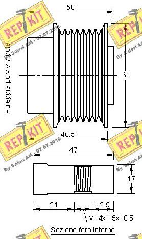 REPKIT RKT3198 - Ремъчна шайба, генератор vvparts.bg