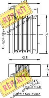 REPKIT RKT3116 - Ремъчна шайба, генератор vvparts.bg