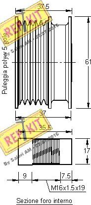 REPKIT RKT3174 - Ремъчна шайба, генератор vvparts.bg