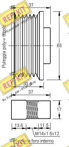 REPKIT RKT3249 - Ремъчна шайба, генератор vvparts.bg