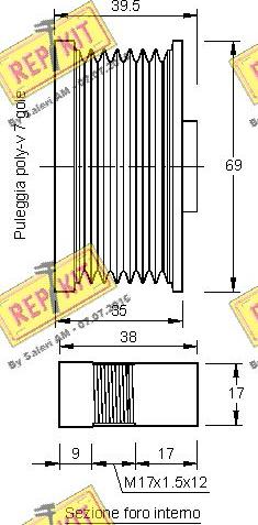 REPKIT RKT3242 - Ремъчна шайба, генератор vvparts.bg