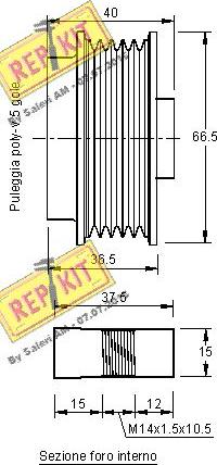 REPKIT RKT3207 - Ремъчна шайба, генератор vvparts.bg