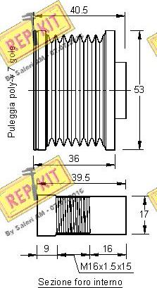 REPKIT RKT2928 - Ремъчна шайба, генератор vvparts.bg