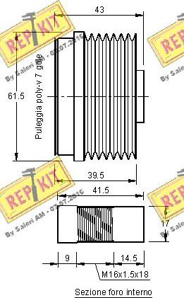 REPKIT RKT2971 - Ремъчна шайба, генератор vvparts.bg