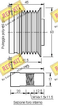 REPKIT RKT2977 - Ремъчна шайба, генератор vvparts.bg