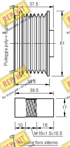 REPKIT RKT2698 - Ремъчна шайба, генератор vvparts.bg