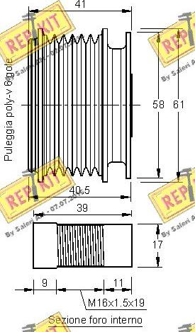 REPKIT RKT2365 - Ремъчна шайба, генератор vvparts.bg