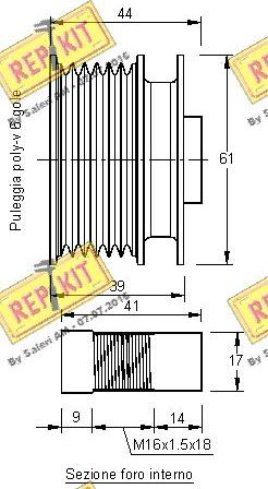 REPKIT RKT2362 - Ремъчна шайба, генератор vvparts.bg