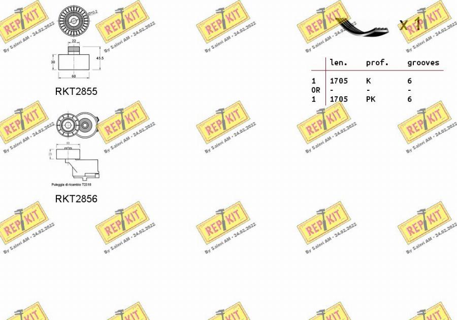 REPKIT RKTA0004 - Комплект пистов ремък vvparts.bg