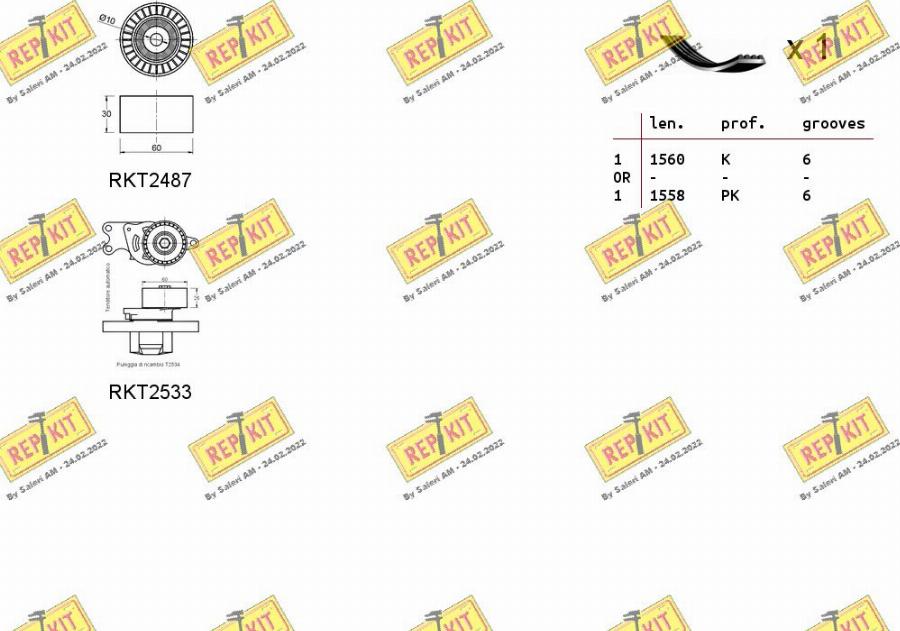 REPKIT RKTA0018 - Комплект пистов ремък vvparts.bg