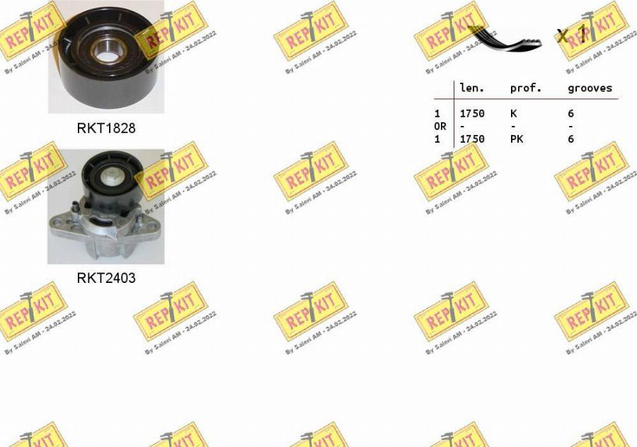 REPKIT RKTA0028 - Комплект пистов ремък vvparts.bg