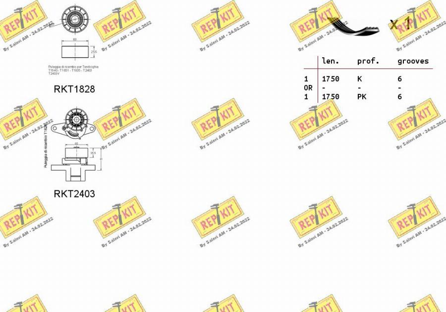 REPKIT RKTA0028 - Комплект пистов ремък vvparts.bg