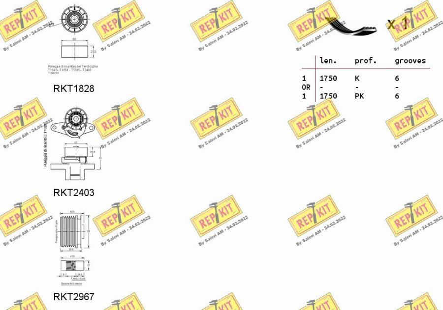 REPKIT RKTA0108 - Комплект пистов ремък vvparts.bg