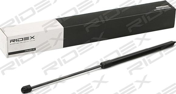 RIDEX 514G0149 - Газов амортисьор, капак на двигателя vvparts.bg