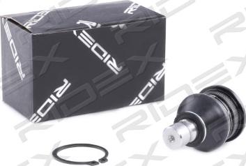 RIDEX 2462S0159 - Шарнири vvparts.bg