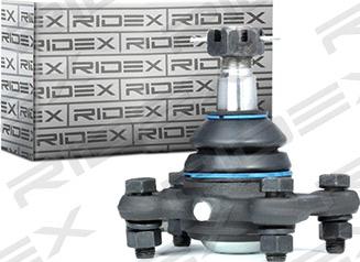 RIDEX 2462S0101 - Шарнири vvparts.bg