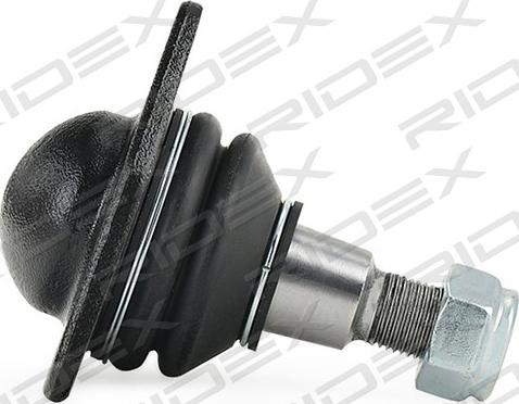 RIDEX 2462S0328 - Шарнири vvparts.bg