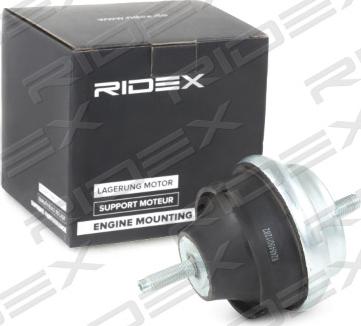 RIDEX 247E0099 - Окачване, двигател vvparts.bg