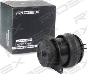 RIDEX 247E0201 - Окачване, двигател vvparts.bg