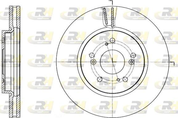 Roadhouse 61643.10 - Спирачен диск vvparts.bg