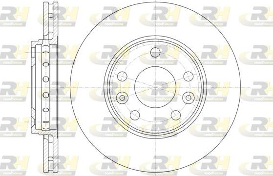 Roadhouse 61346.10 - Спирачен диск vvparts.bg