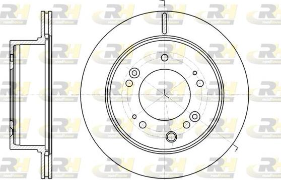 Roadhouse 61306.10 - Спирачен диск vvparts.bg