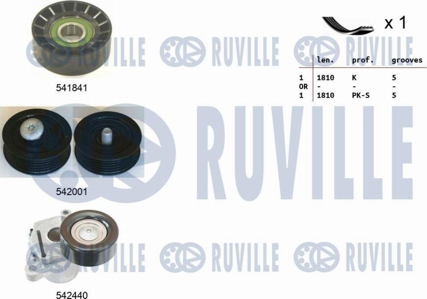 Ruville 570131 - Комплект пистов ремък vvparts.bg