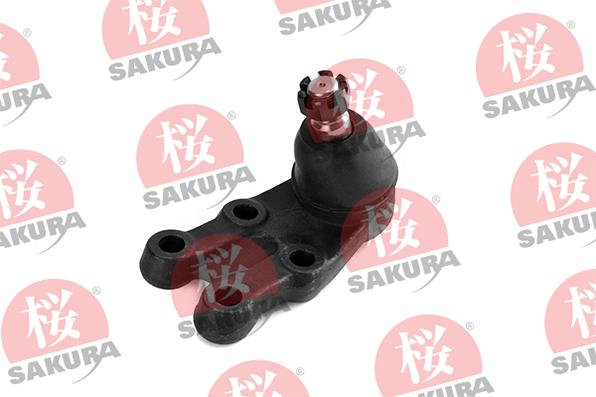 SAKURA 422-05-4616 - Шарнири vvparts.bg