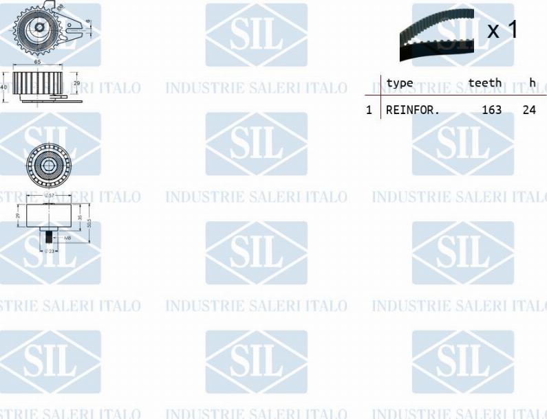 Saleri SIL TK1102 - Комплект ангренажен ремък vvparts.bg