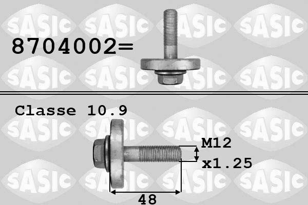 Sasic 8704002 - Болт на ремъчна шайба vvparts.bg