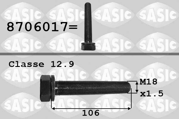 Sasic 8706017 - Болт на ремъчна шайба vvparts.bg