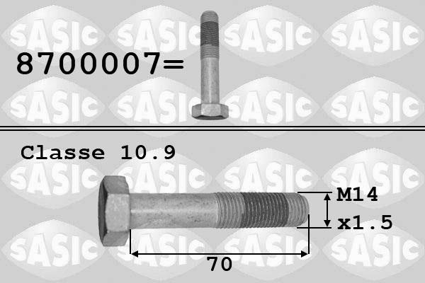 Sasic 8700007 - Болт на ремъчна шайба vvparts.bg