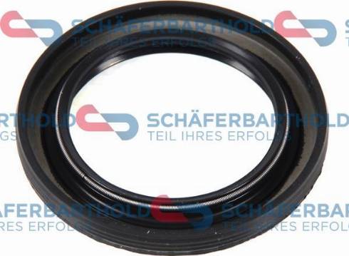 Schferbarthold 917 06 303 01 11 - Семеринг, колянов вал vvparts.bg