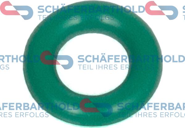 Schferbarthold 929 06 061 01 11 - Уплътнителен пръстен, впръсквателен клапан vvparts.bg